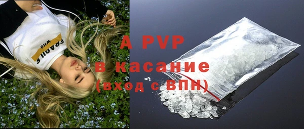 бошки Белокуриха