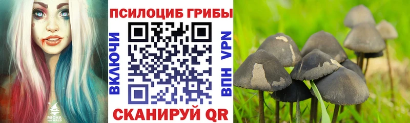 Псилоцибиновые грибы ЛСД  Краснокамск 